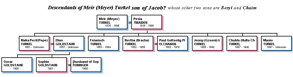 This is part of a larger tree presented fully elsewhere