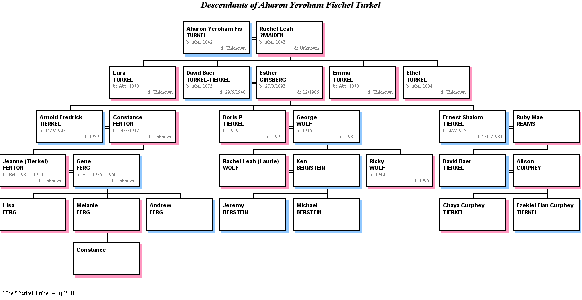 Tierkel family from Moliv, Galicia (Ukraine)
